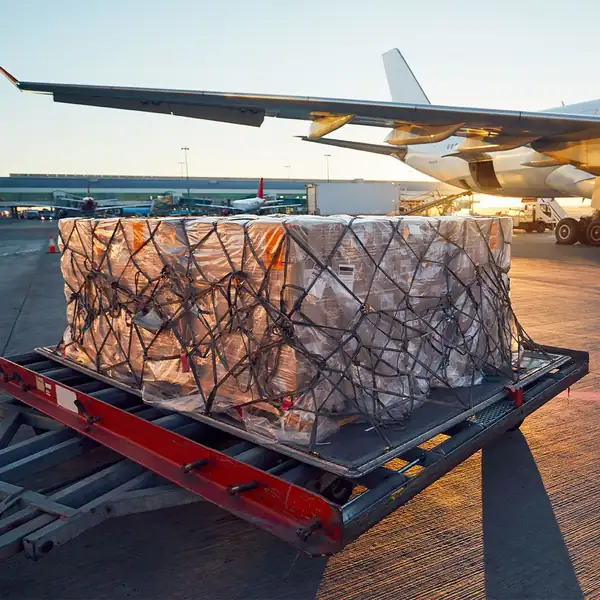 Netted air-cargo pallet on a dolly beside a widebody aircraft at sunset.